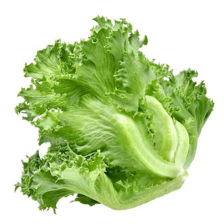 Lettuce as one of the 7 Great Roots, Veggies and Concoctions